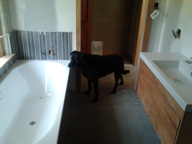 Leda - who will not be enjoying the gorgeous view from our bath...